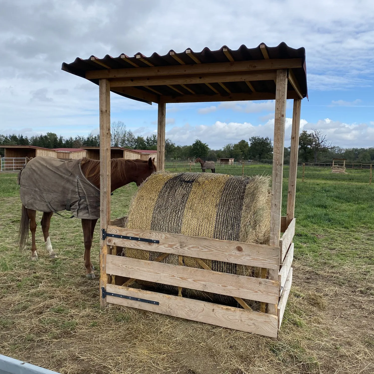 Mangeoire pour cheval