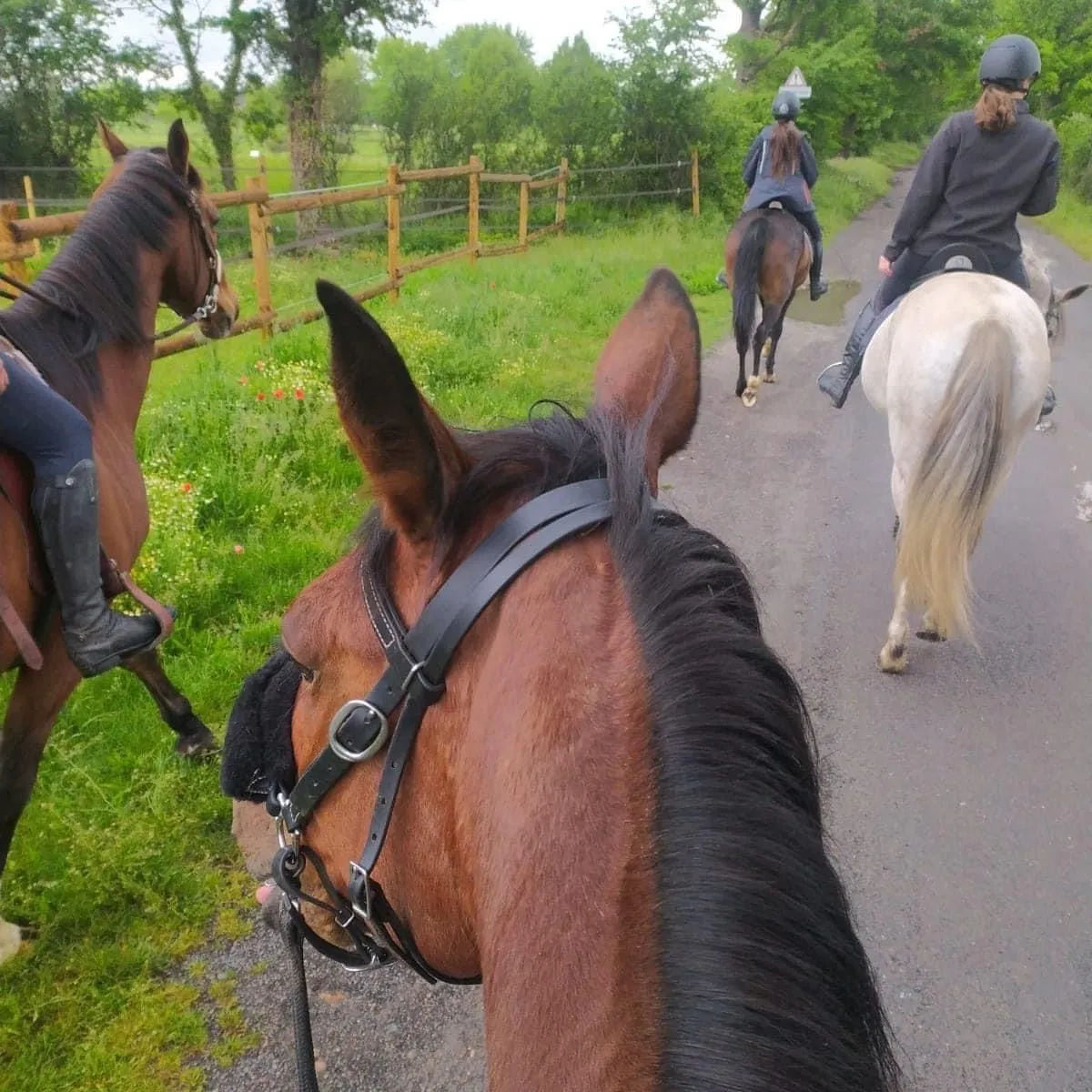 Une balade a cheval